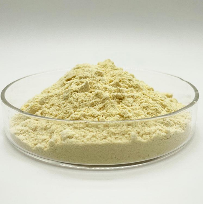 What_Can_Phospholipids_Do_01.png What_Can_Phospholipids_Do_01.png