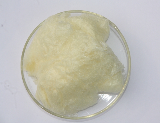 What_Can_Phospholipids_Do_03.png What_Can_Phospholipids_Do_03.png